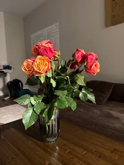 Roses in a vase