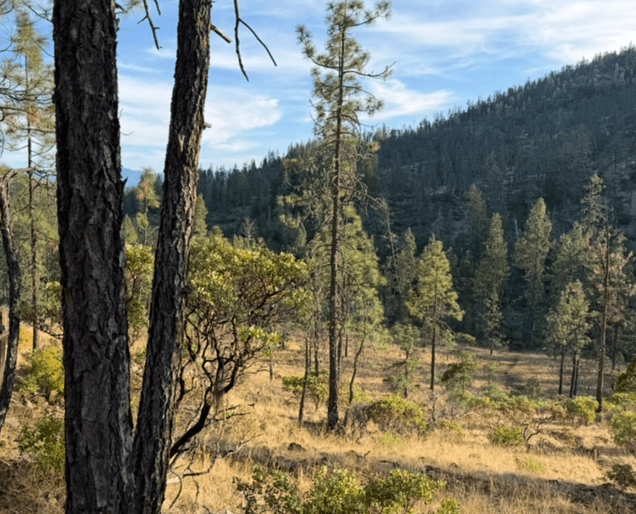oregon trail loop