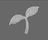 seed